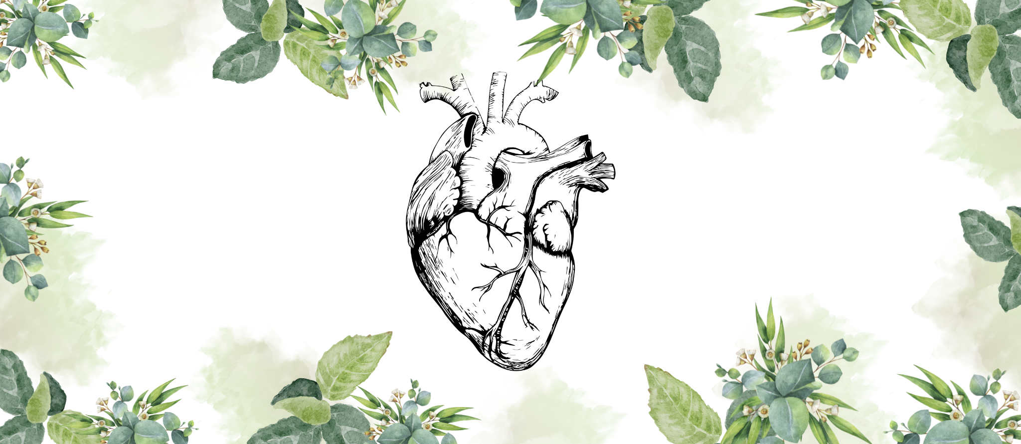 Circulatory System