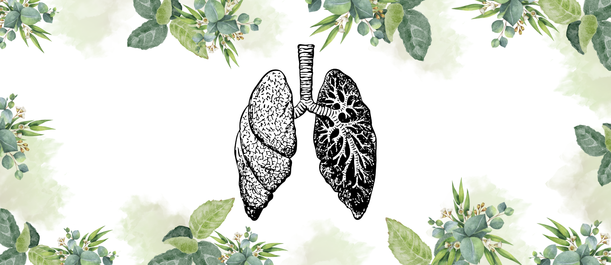Respiratory System