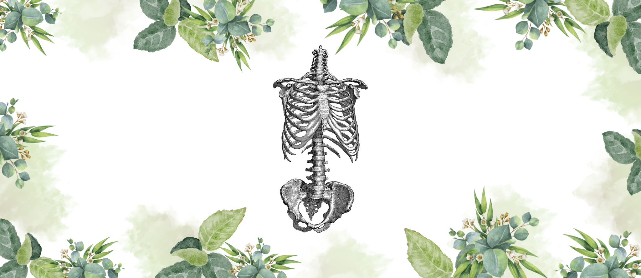 Skeletal System