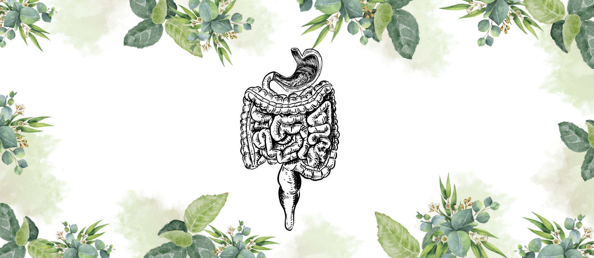 Digestive System