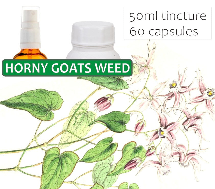 Horny Goats Weed
