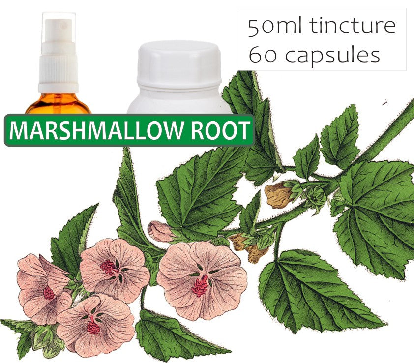 Marshmallow Root