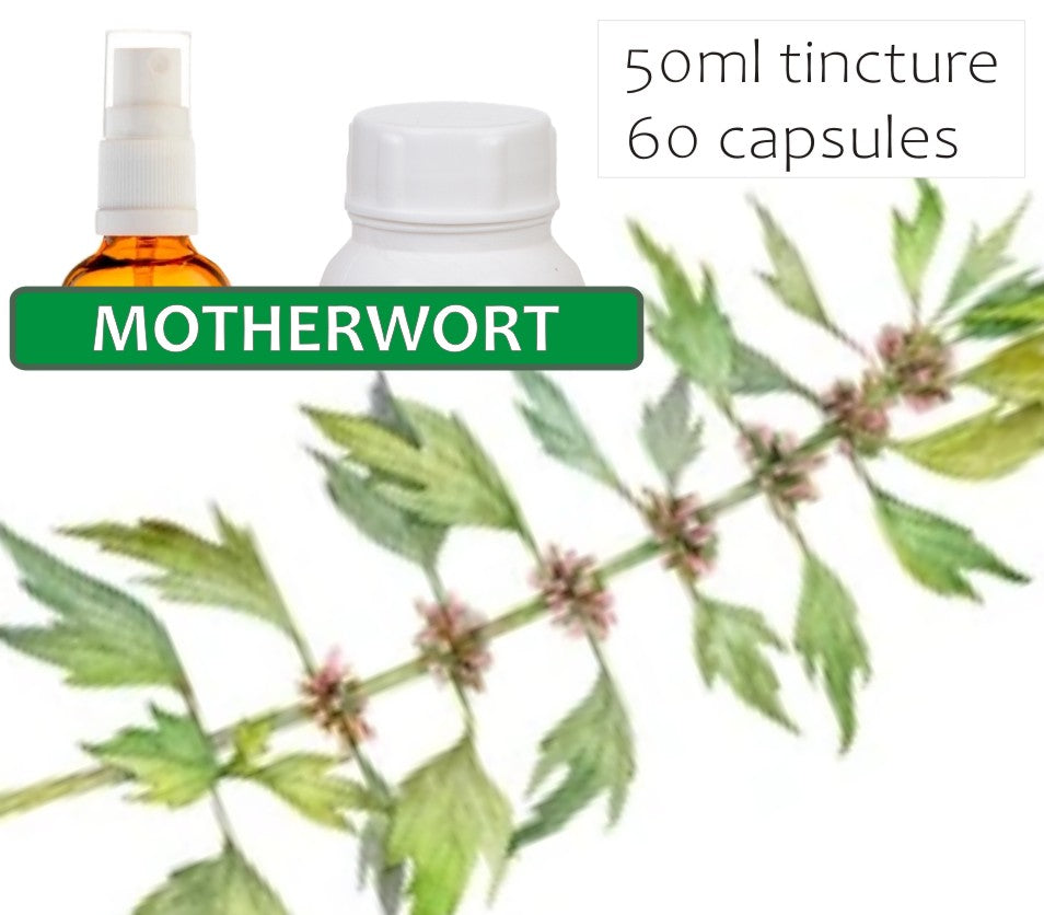 Motherwort