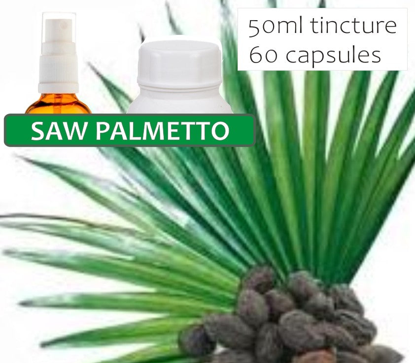 Saw Palmetto