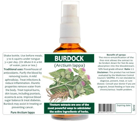 Burdock Root