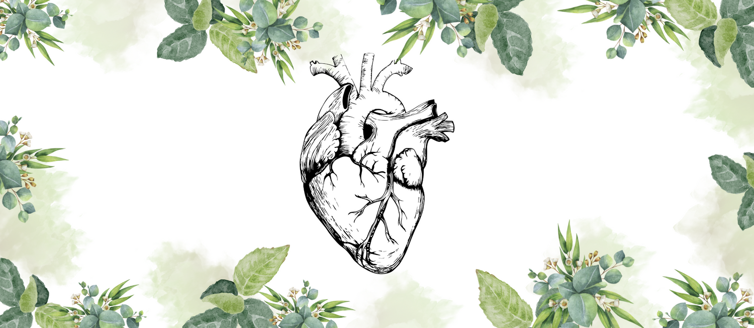 Circulatory System
