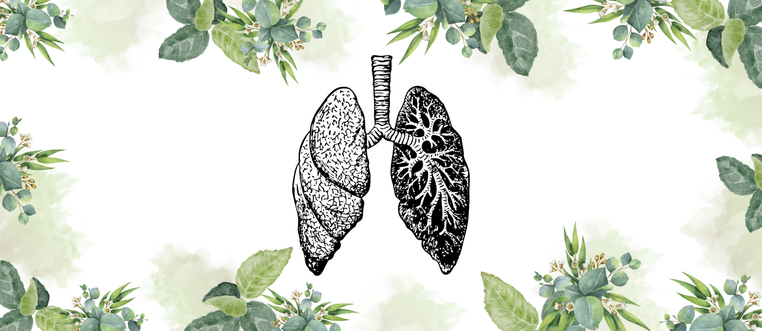 Respiratory System
