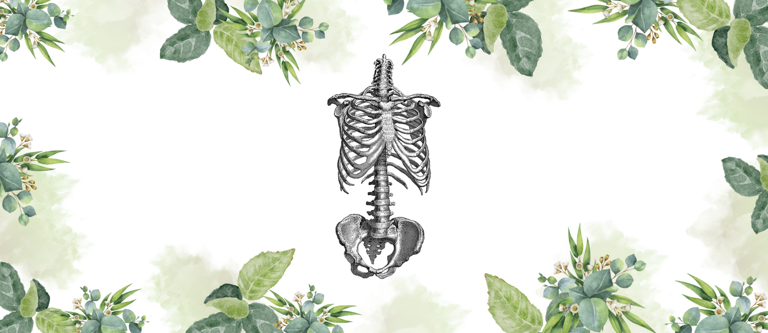 Skeletal System