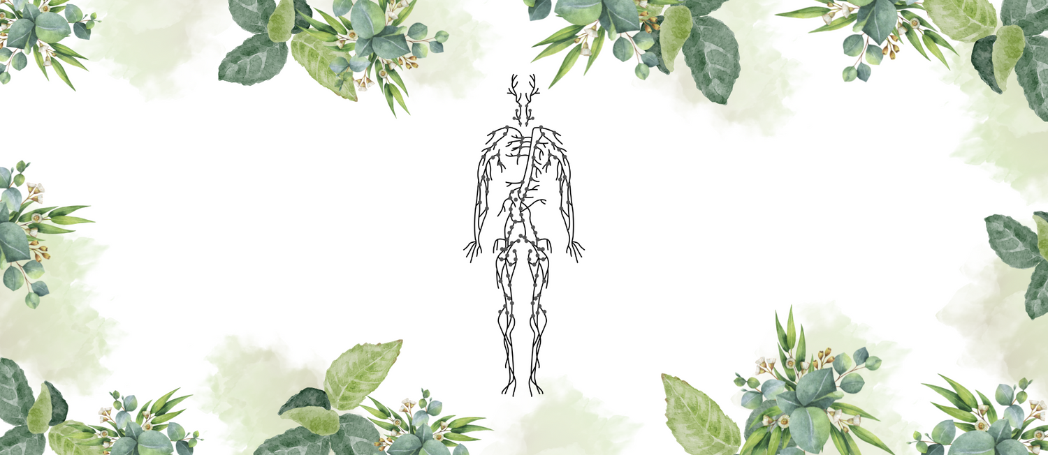 Lymphatic System