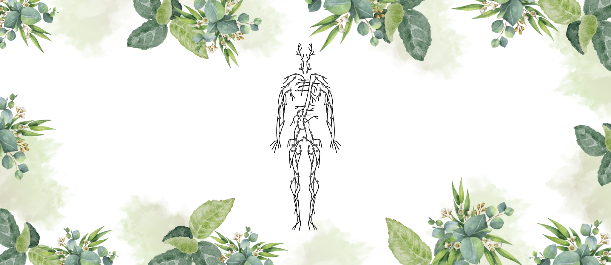 Lymphatic System