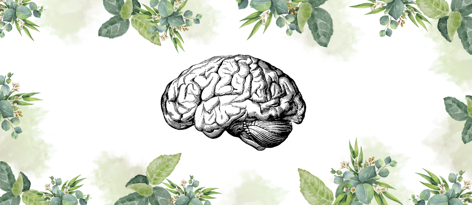 Nervous System