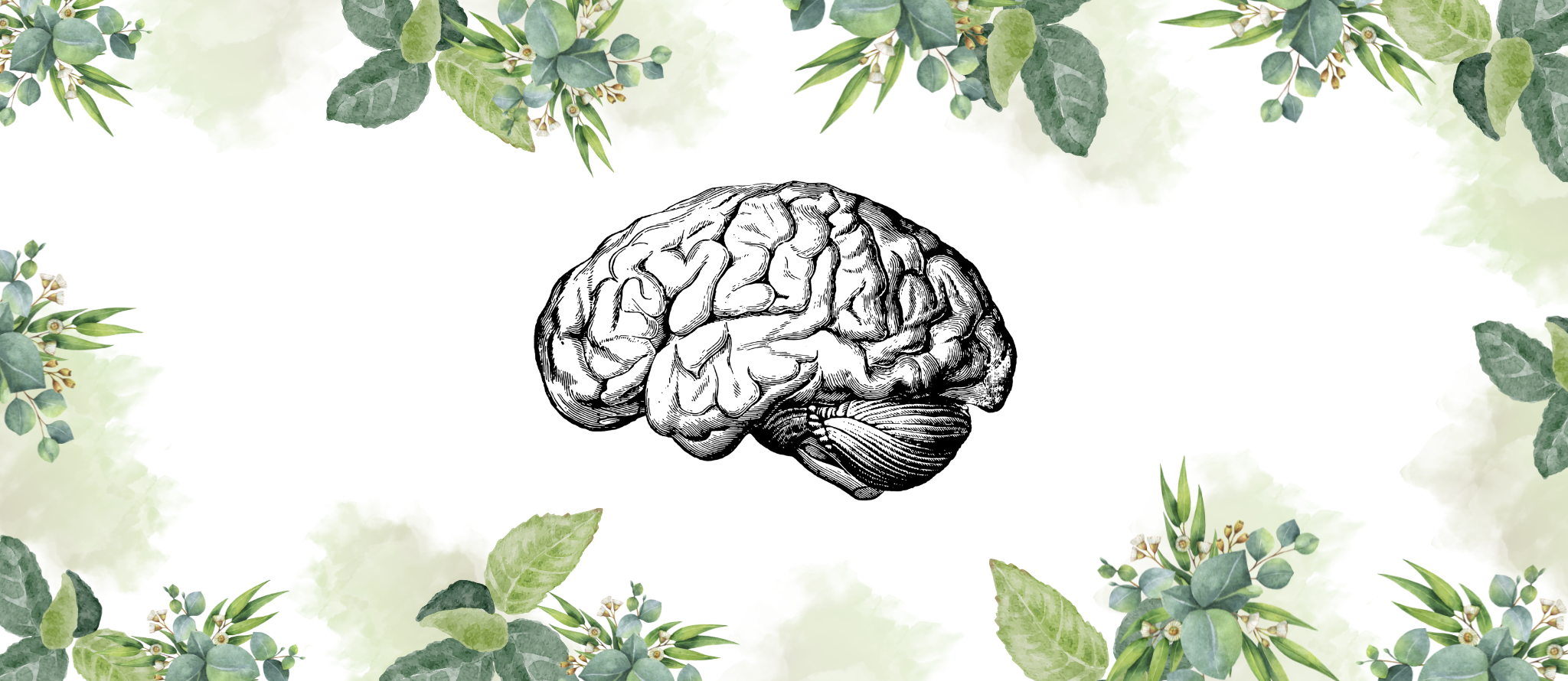 Nervous System