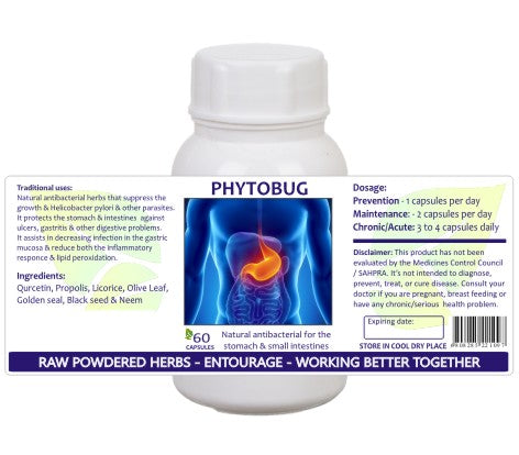 PhytoBug