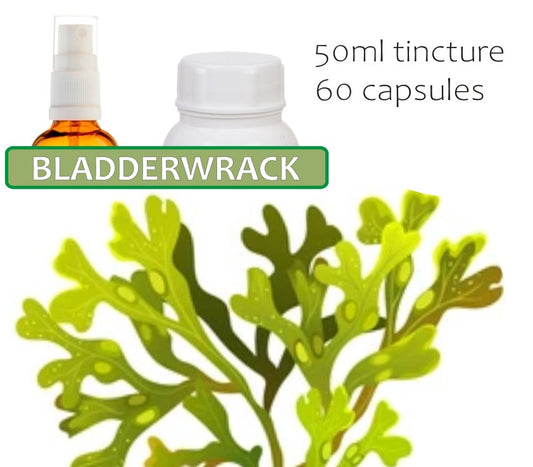 Bladderwrack