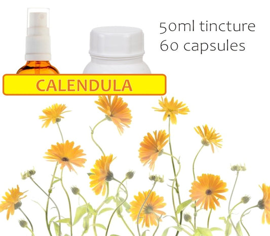 Calendula Marigold
