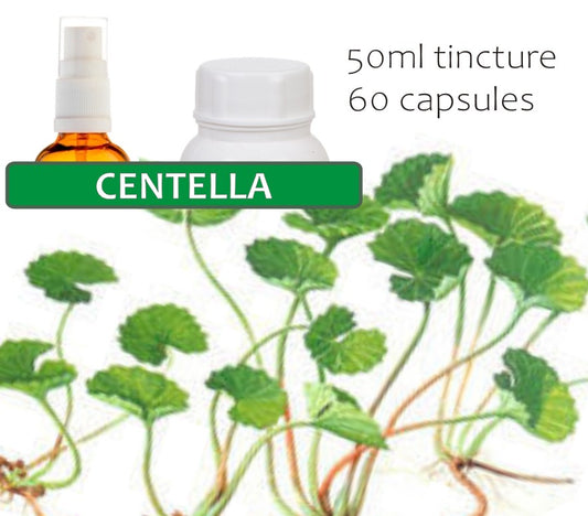 Centella (Gotu Kola)