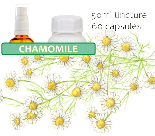 Chamomile Flower