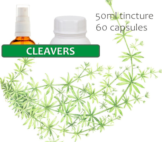 Cleavers Bedstraw