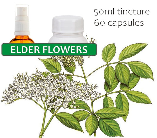 Elder Flower