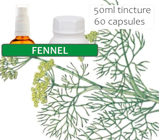 Fennel