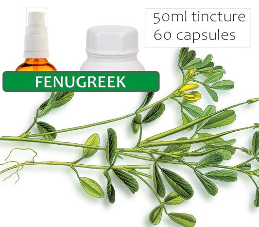 Fenugreek