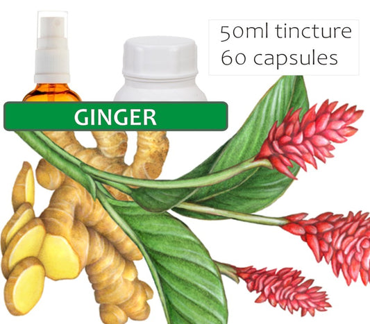 Ginger