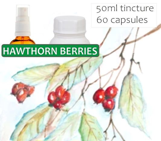 Hawthorn Berries