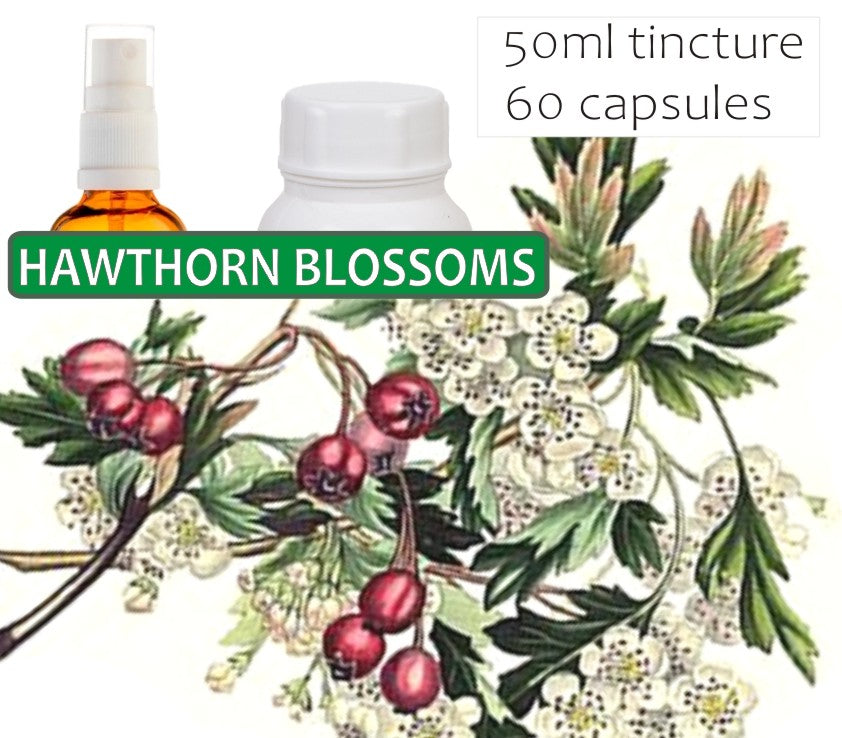 Hawthorn Blossoms