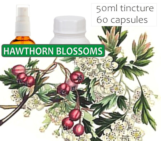 Hawthorn Blossoms