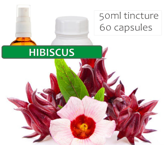Hibiscus Flower