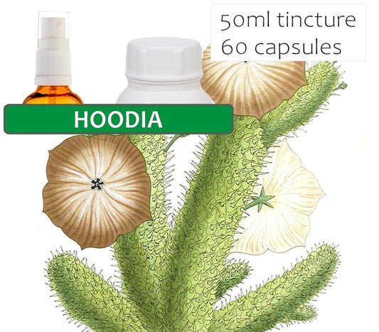 Hoodia