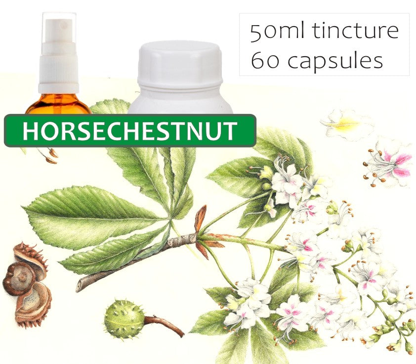 Horse Chestnut