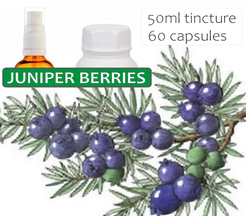 Juniper Berries