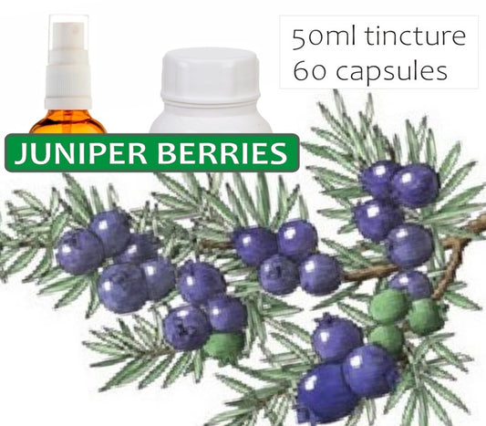 Juniper Berries