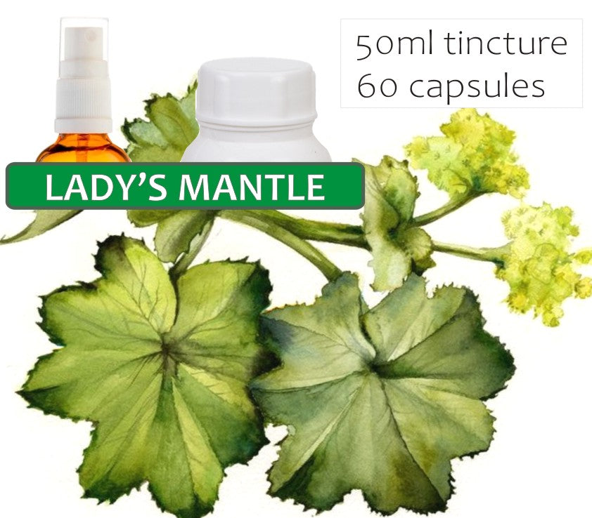 Lady’s Mantle