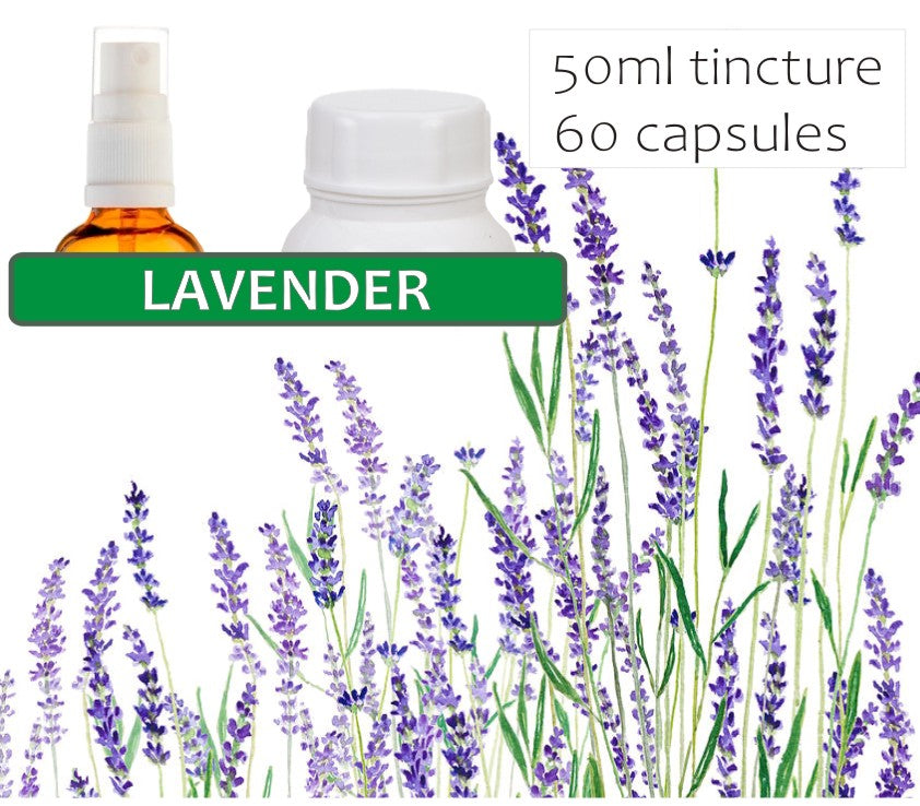 Lavender Flower