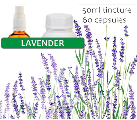 Lavender Flower