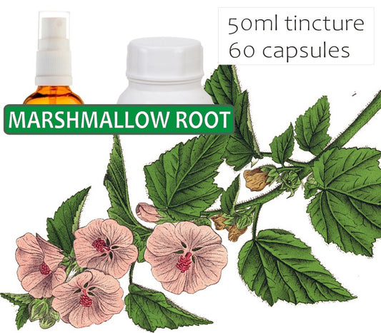 Marshmallow Root
