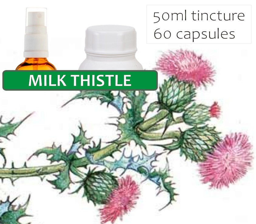 Milk Thistle