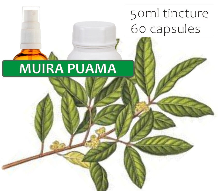 Muira Puama