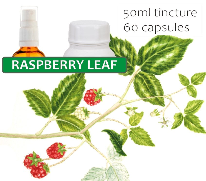 Raspberry Leaves