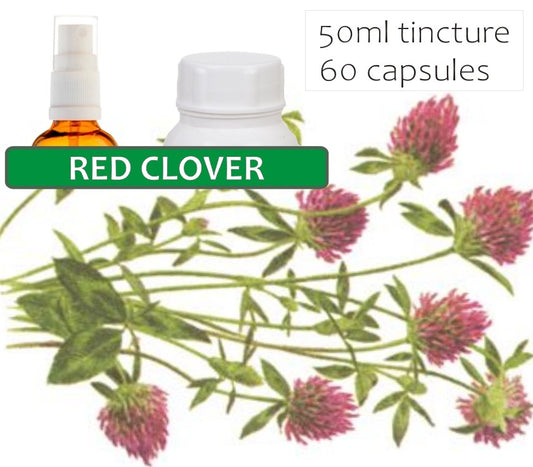 Red Clover