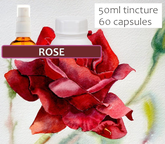 Rose Petals