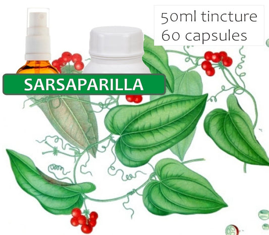 Sarsaparilla