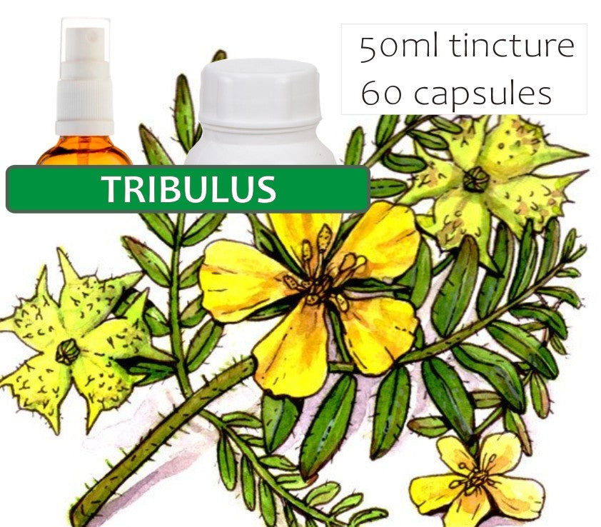 Tribulus
