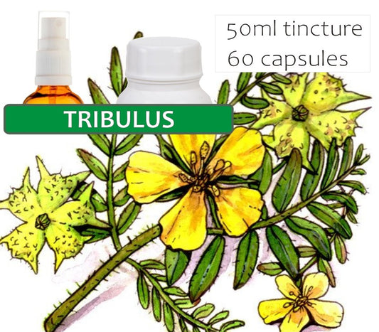 Tribulus