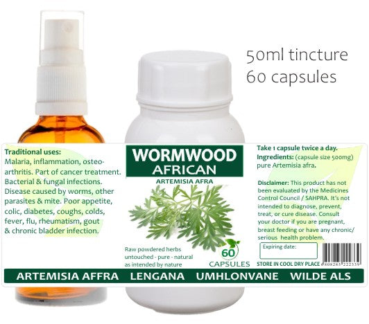 Wormwood Artemisia Afra (Wilde Als)
