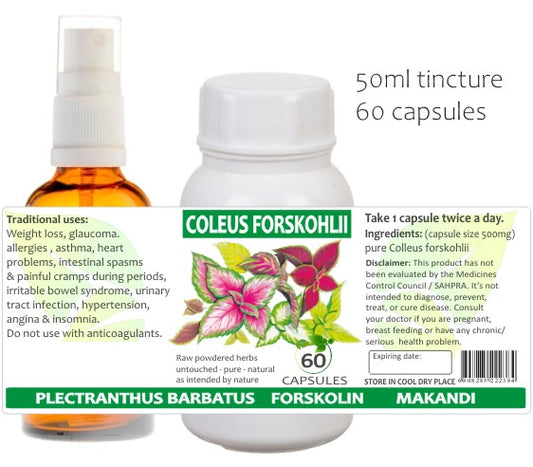 Coleus