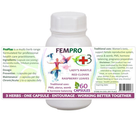 FemPro