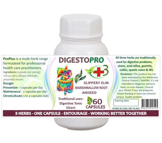 DigestoPro